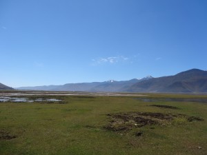 Sur les bords du lac Napa