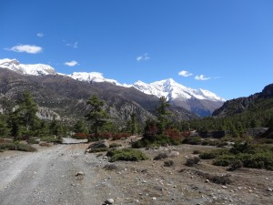 Un sentier désert près de Manang.