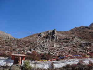 A Muktinath, il doit exister une araignée géante qui tisse des drapeaux de prière.