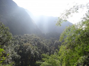 Retour à la végétation verdoyante près du village bien nommé de Bambou.