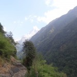 Un regard en arrière vers les géants de l'Annapurna.