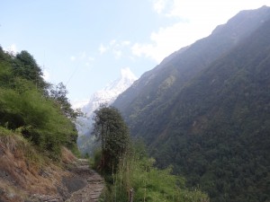 Un regard en arrière vers les géants de l'Annapurna.