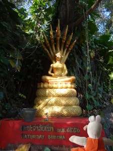 Le Bouddha assis.