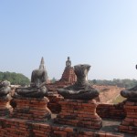 Des Bouddha décapités méditent encore dans les anciennes ruines.