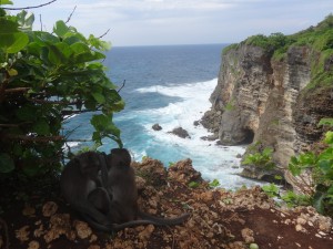 Des singes s'épouillent, insensibles au décors grandiose.