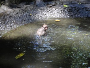 Le bain.