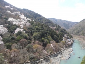 Les collines de Matsuominamimatsuoyama (sic !) à l'ouest de la forêt de bambou.