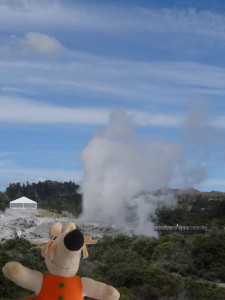Un geyser fumant.