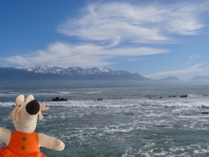 Les montagnes de l'île du sud.