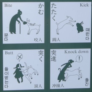 Même pour avertir des dangers que peuvent représenter les cerfs de Nara, ces derniers restent kawaii.