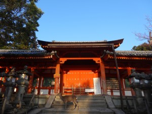 Un cerf passe nonchalamment près des portes d'un temple.