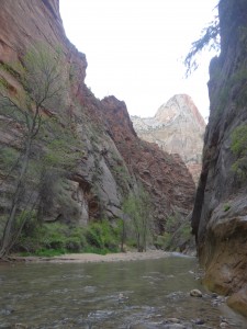 Les narrows de Zion.