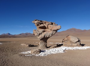 "El Arbol de Piedra" (l'arbre de pierre), un des monuments naturels principaux de Los Lipez.