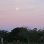 La pleine lune se lève sur Esteros del Ibera.