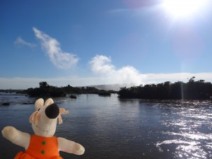 Le rio Iguazu semble bien paisible... juste avant de chuter de plusieurs dizaines de mètres.