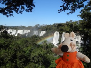 Les chutes d'Iguazu sont vraiment majestueuses.