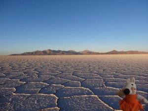 Le salar d'Uyuni, il ne reste plus que le sel sur 10 000km2.