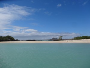 Un aperçu du paradis au nord ouest de l'île Santa Cruz.