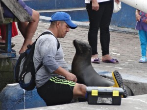 Ce pêcheur, en train de vider l'eau de mer de ses bottes, est très attendu.